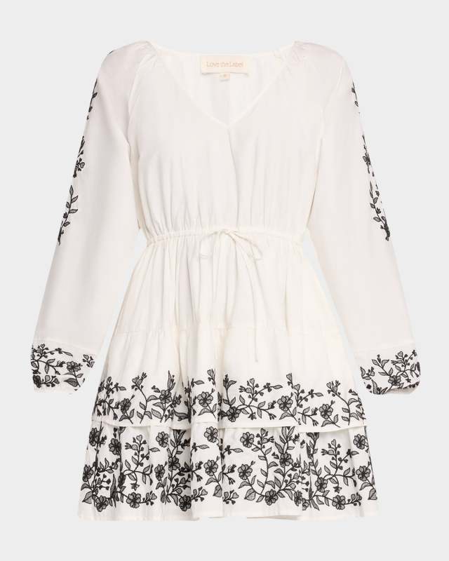 Sayuri Embroidered Mini Dress